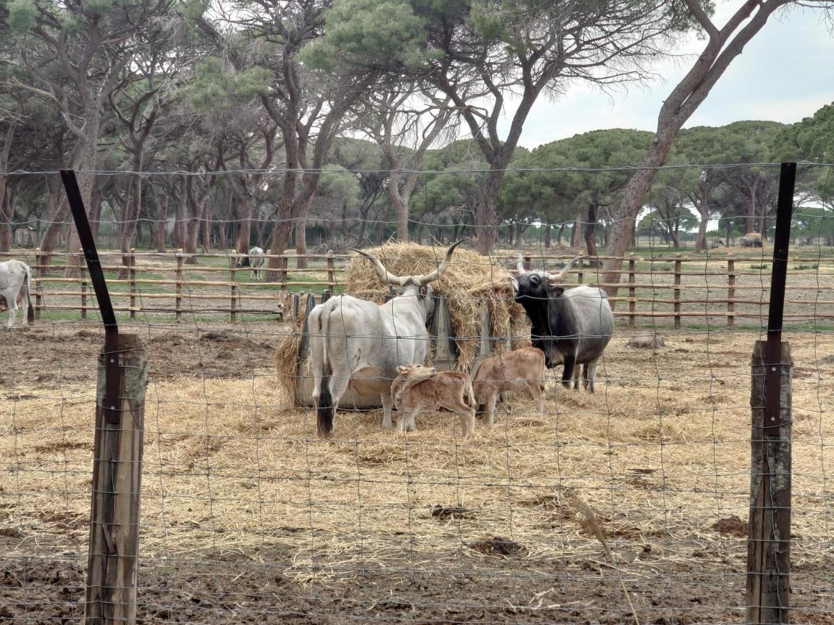 Agriturismo Poderedodici Orbetello Exteriér fotografie