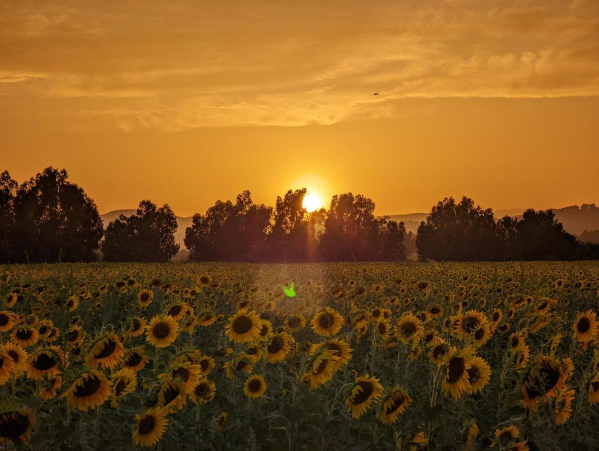 Agriturismo Poderedodici Orbetello Exteriér fotografie