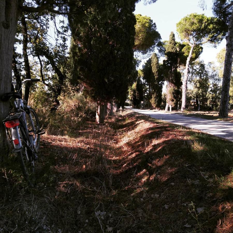 Agriturismo Poderedodici Orbetello Exteriér fotografie
